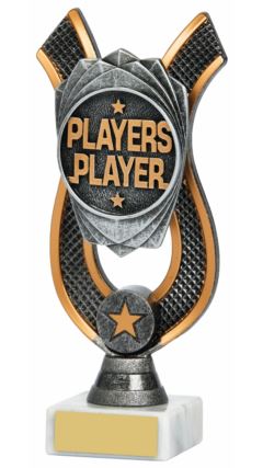 Players Player Award Ant Silver 18cm