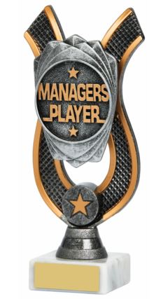Managers Player Award Ant Silver 18cm