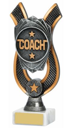 Coach Award Ant Silver 18cm