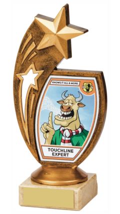 "Touchline Expert" Fun Award Ant Gold 17cm