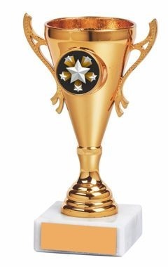 Cup Award Gold 13.5cm