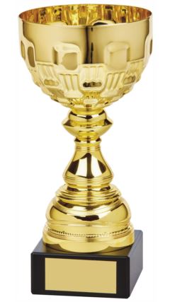 Gold Bowl Award Gold 25cm