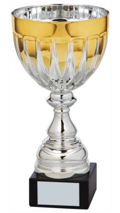 Silver/Gold Bowl Award Silver/Gold 29.5cm