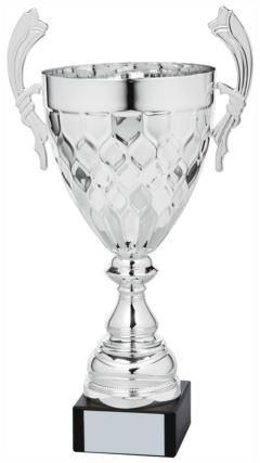 Silver Presentation Cup With Handles Silver 46cm