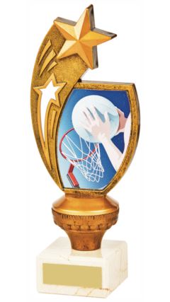 Antique Gold Scroll Award - Netball Ant Gold 21cm