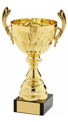 Gold Presentation Cup With Handles Gold 39cm