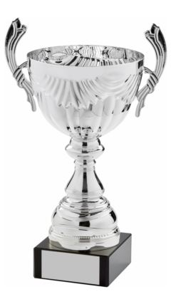 Silver Presentation Cup With Handles Silver 39cm