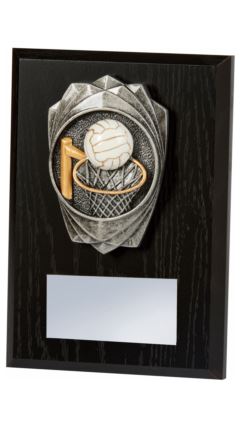 Antique Silver Netball, Black Wood Award Black 15cm