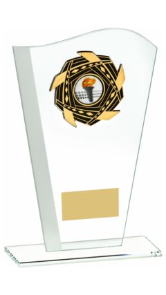 Wave Jade Glass Award with Trim Clear 20.5cm