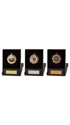 45mm Medal in Black Case (Gold / Silver / Bronze) Silver 4.5cm