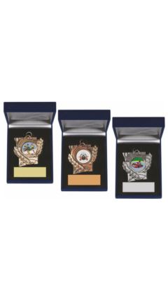 50mm Heavy Medal in Luxury Case (Gold / Silver / Bronze) Gold 5cm