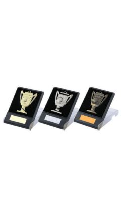 Cup Design Golf Medal in Case (Gold) Gold 5cm