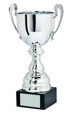 Silver Presentation Cup with Handles Silver 32.5cm