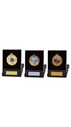 50mm Medal in Black Case (Gold / Silver / Bronze) Gold 5cm