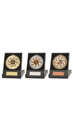 70mm Medal in Black Case (Gold / Silver / Bronze) Gold 7cm