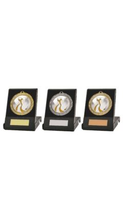 70mm Golf Medal in Case (Gold) Gold 70cm