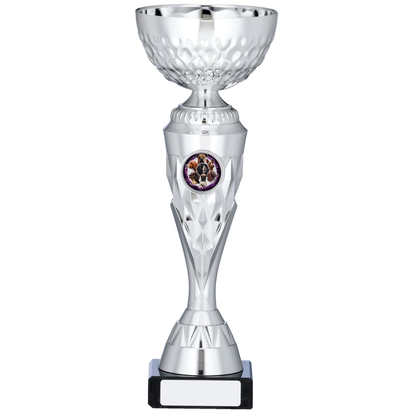 9.75" SILVER TROPHY 25cm