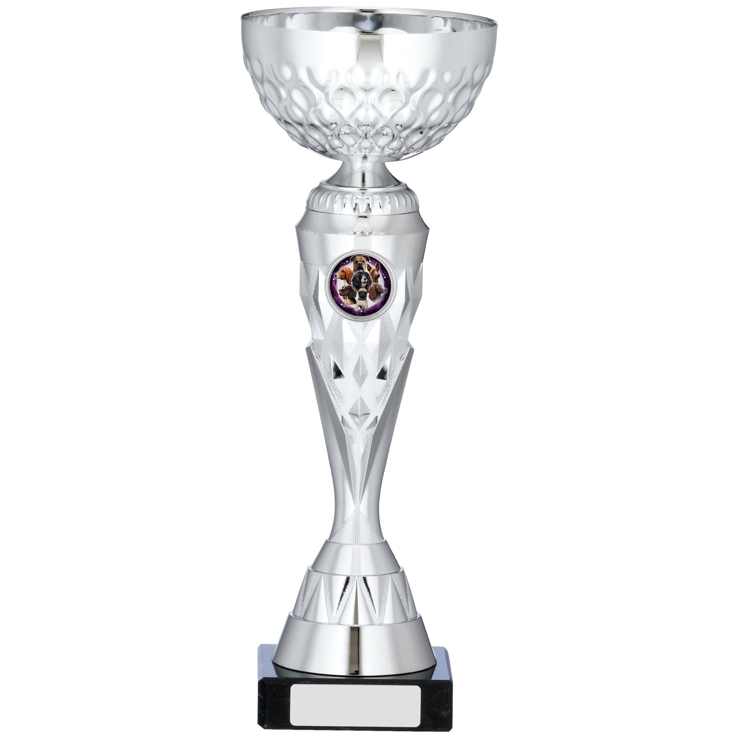 10.75" SILVER TROPHY 27cm