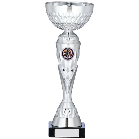 10.75" SILVER TROPHY 27cm