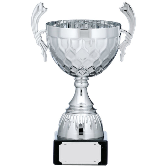 10" SILVER CUP TROPHY WITH HANDLES 25.5cm