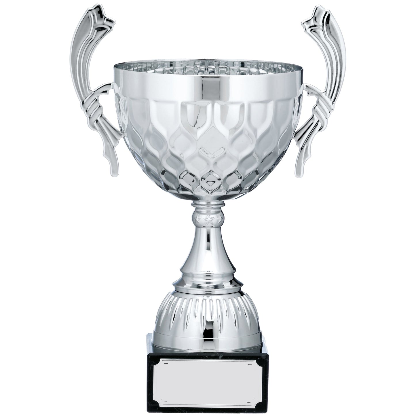 13.25" SILVER CUP TROPHY WITH HANDLES 33.5cm