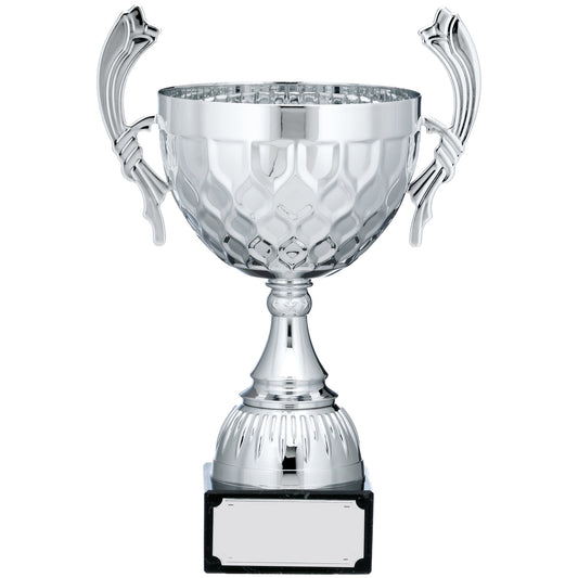 13.25" SILVER CUP TROPHY WITH HANDLES 33.5cm