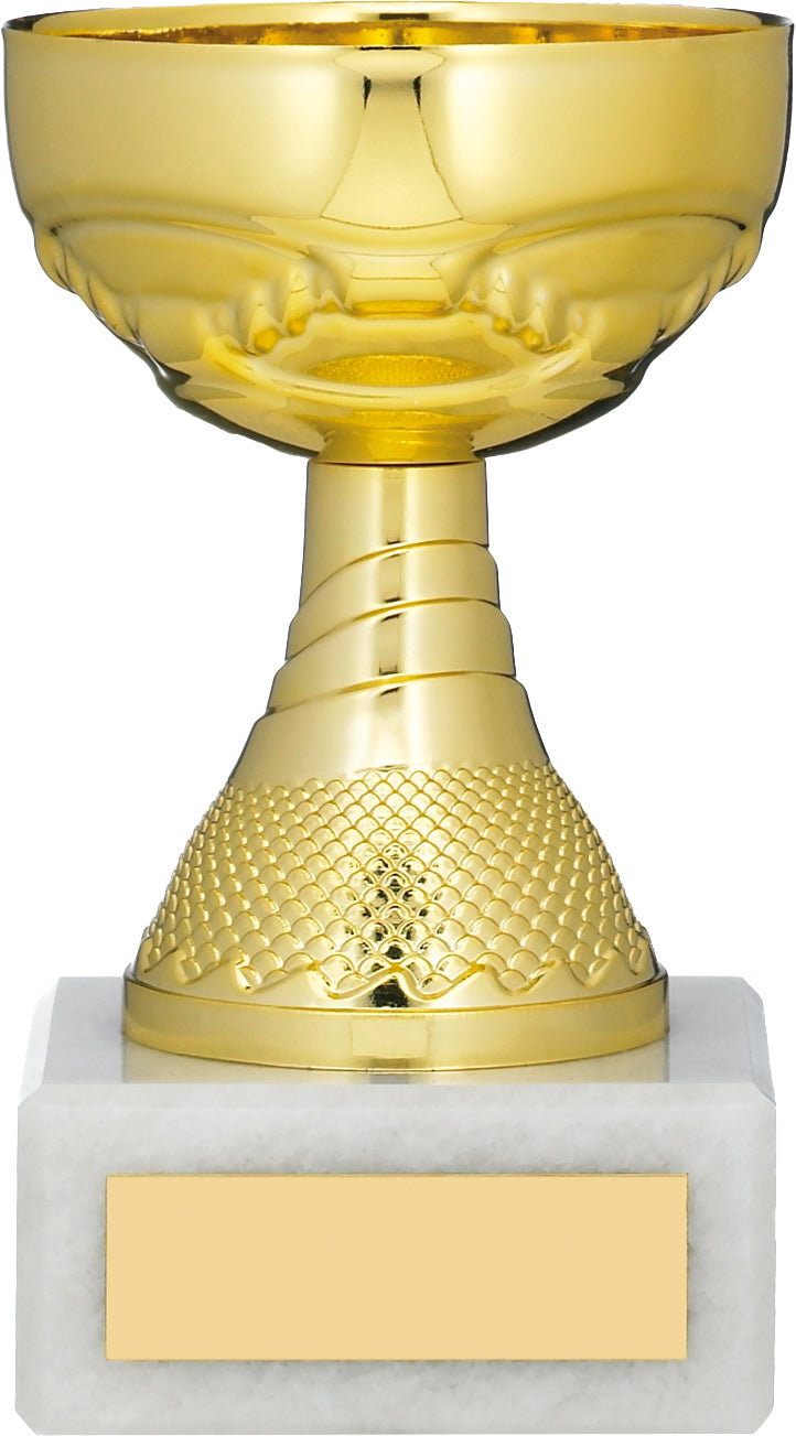 5.25" GOLD CUP TROPHY 13.5cm