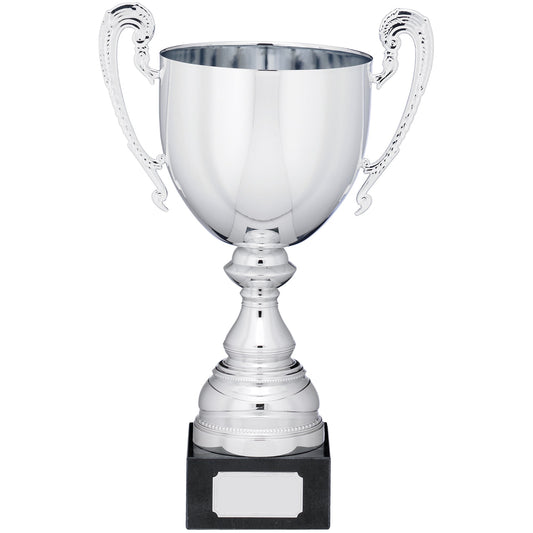 PRESENTATION CUP  28.5cm