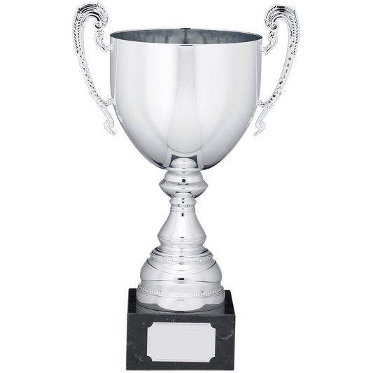 PRESENTATION CUP  38cm