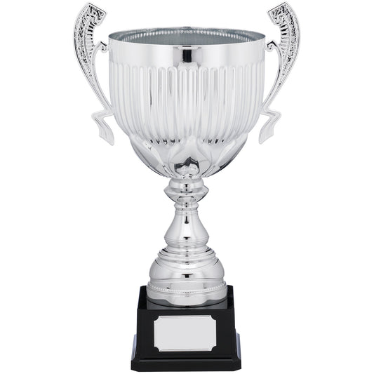 PRESENTATION CUP  41cm