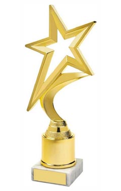 Gold Star Award Gold 22.5cm