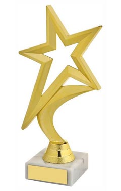 Gold Star Award Gold 18.5cm