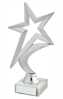 Silver Star Award Silver 18.5cm