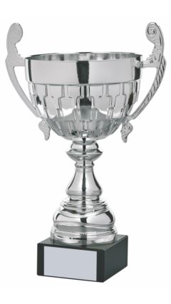 Silver Presentation Cup Silver 39cm