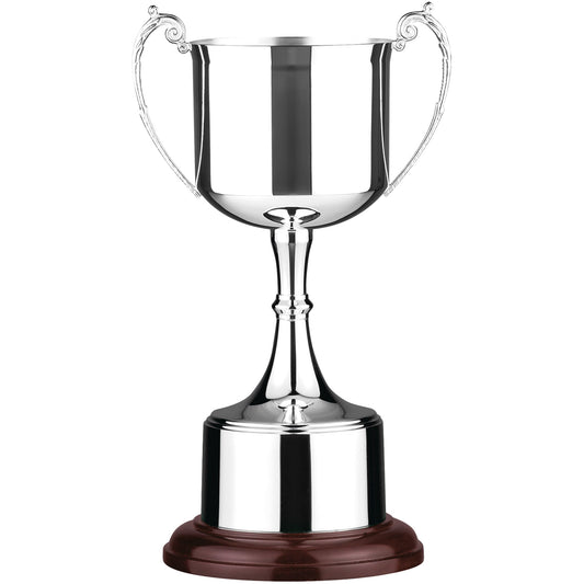 9.75" SILVER PLATED CUP 25cm