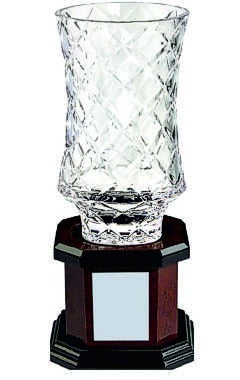 Lead Crystal Vase Award on Wood Base Clear 28cm