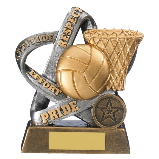 5" INFINITY NETBALL AWARD 12.5cm