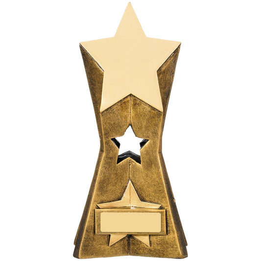 8" STAR AWARD 20cm