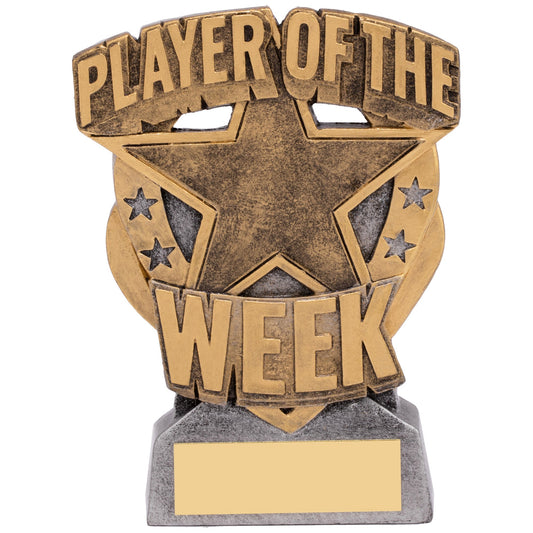 4.5" PLAYER OF THE WEEK AWARD 11.5cm