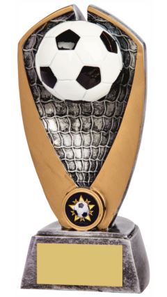 Black/White Football Award Ant Silver 21cm