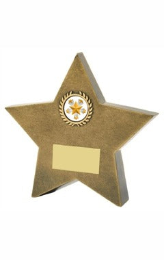 Resin Star Awards Ant Gold 15.5cm