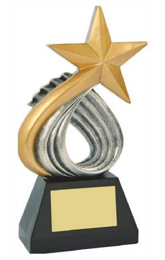 Gold Star Resin Award Silver/Gold 25cm