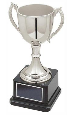 Classic Nickel Plated Cup Silver 22cm