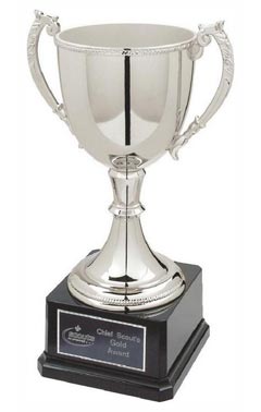 Classic Nickel Plated Cup Silver 31cm