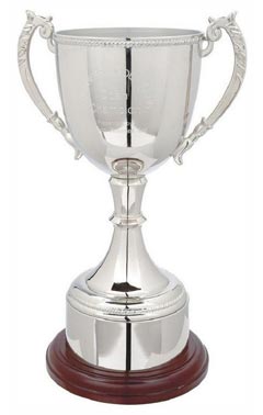 Traditional Nickel Plated Cup Silver 42cm