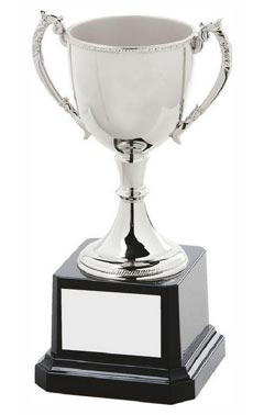 Classic Nickel Plated Cup Silver 15cm