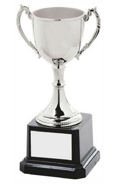 Classic Nickel Plated Cup Silver 16cm