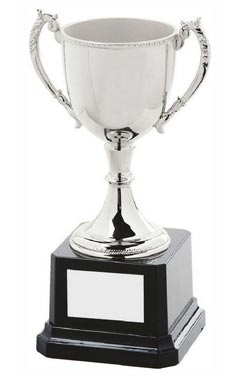 Classic Nickel Plated Cup Silver 17cm