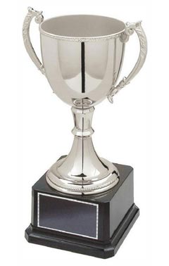 Classic Nickel Plated Cup Silver 19.5cm