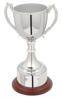 Traditional Nickel Plated Cup Silver 18cm